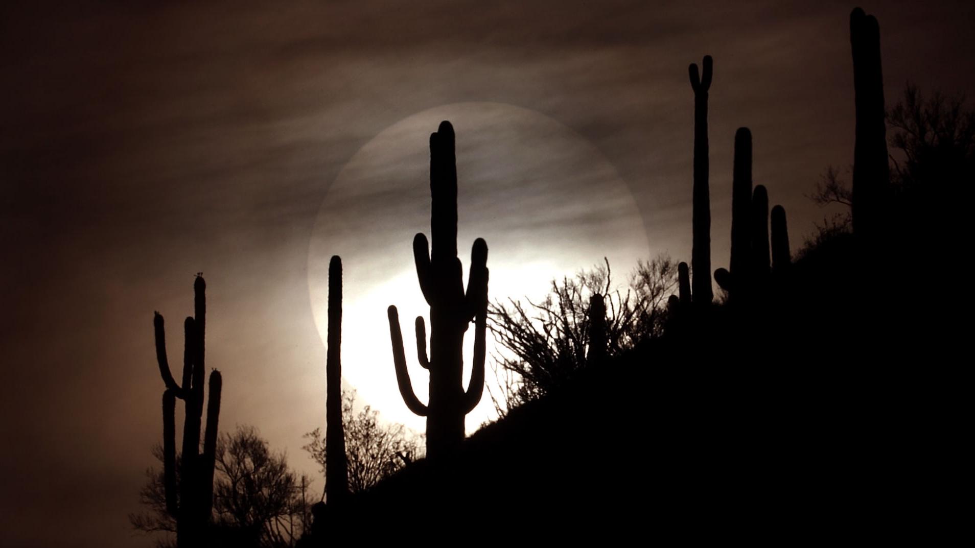 Tucson weather: Increasing chances of thunderstorms this weekend